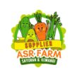 Supplier Sayuran Segar dan Kemangi Jogja – "ASR FARM" | 0856 0119 7004
